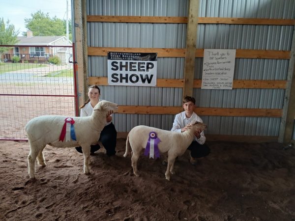 Sheep Producers Association of Nova Scotia