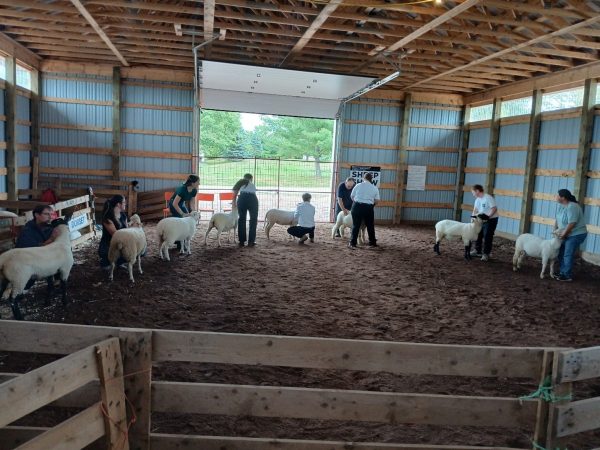 Sheep Producers Association of Nova Scotia