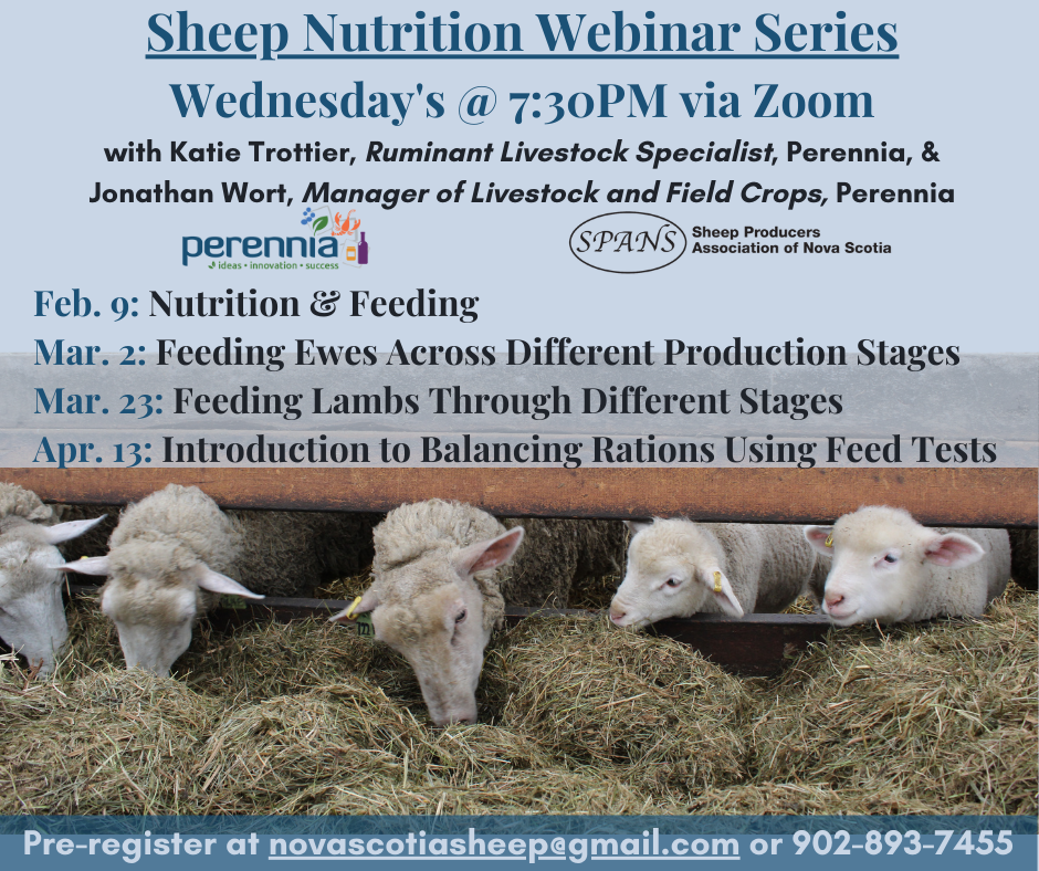 Welcome to the Sheep Producers Association of Nova Scotia! - Sheep ...