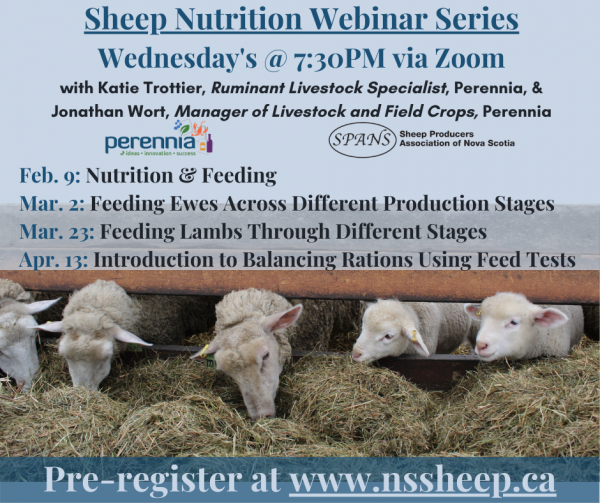 Sheep Producers Association of Nova Scotia