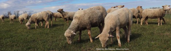 Sheep Producers Association of Nova Scotia